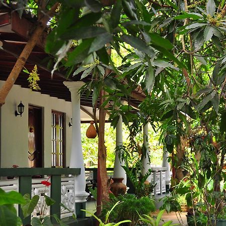 Sigiri Rock Side Home Stay Sigiriya Exterior photo