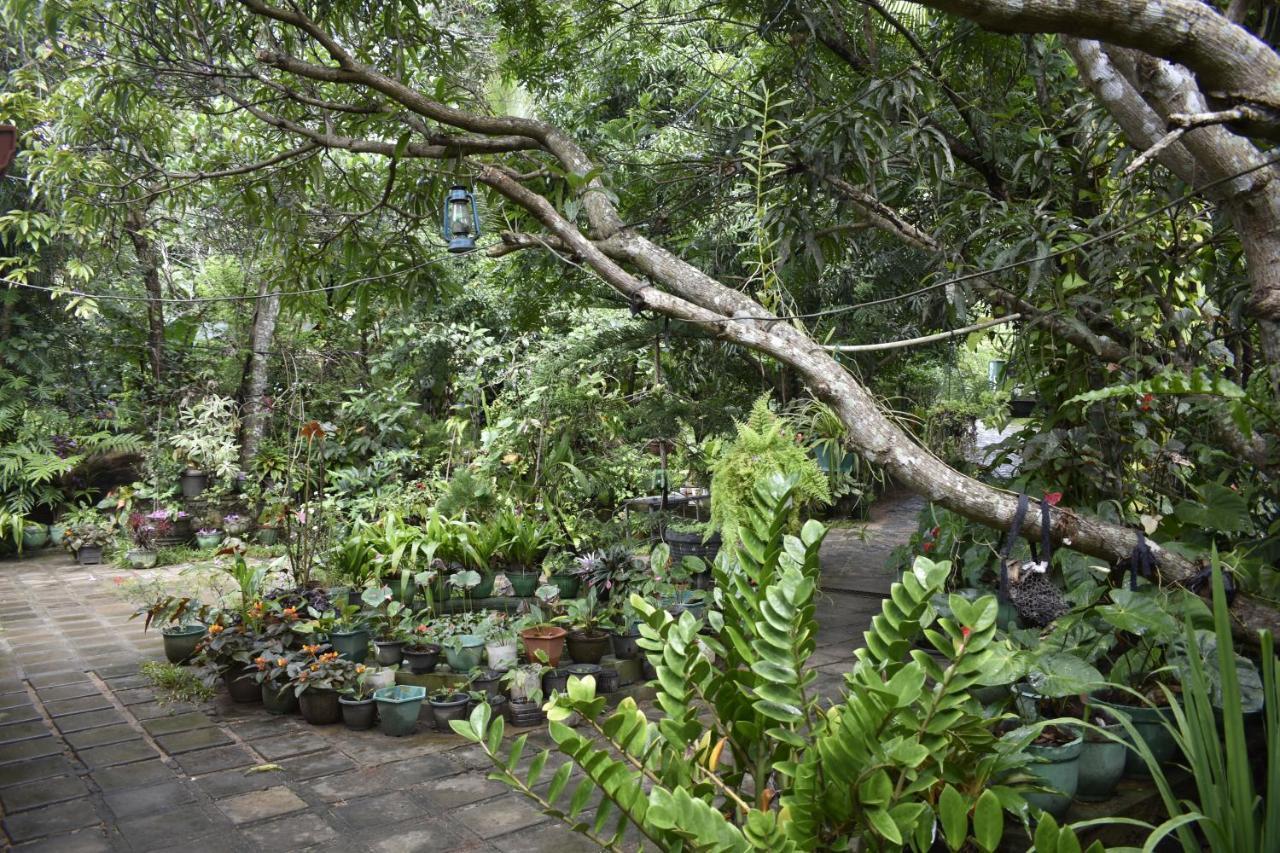 Sigiri Rock Side Home Stay Sigiriya Exterior photo