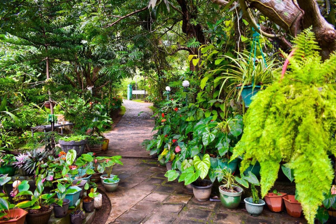 Sigiri Rock Side Home Stay Sigiriya Exterior photo