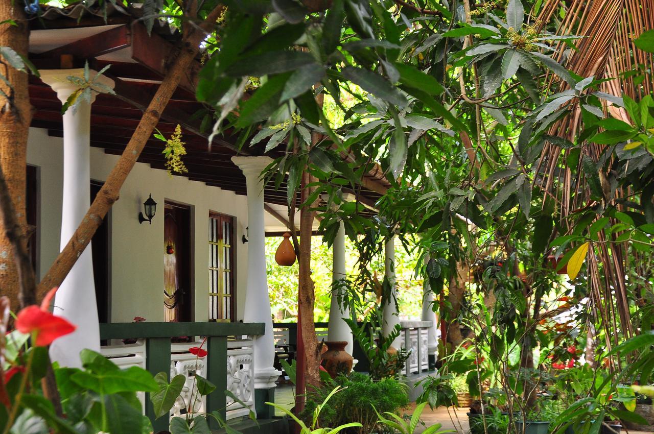 Sigiri Rock Side Home Stay Sigiriya Exterior photo