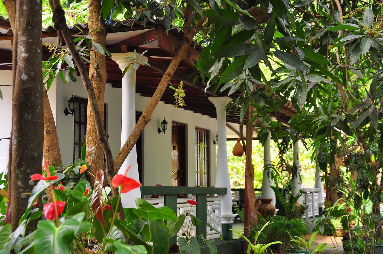 Sigiri Rock Side Home Stay Sigiriya Exterior photo