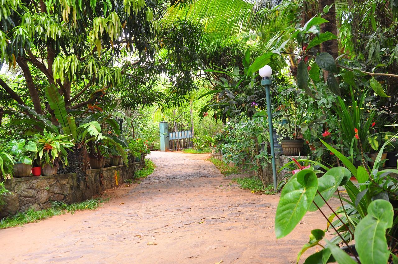 Sigiri Rock Side Home Stay Sigiriya Exterior photo