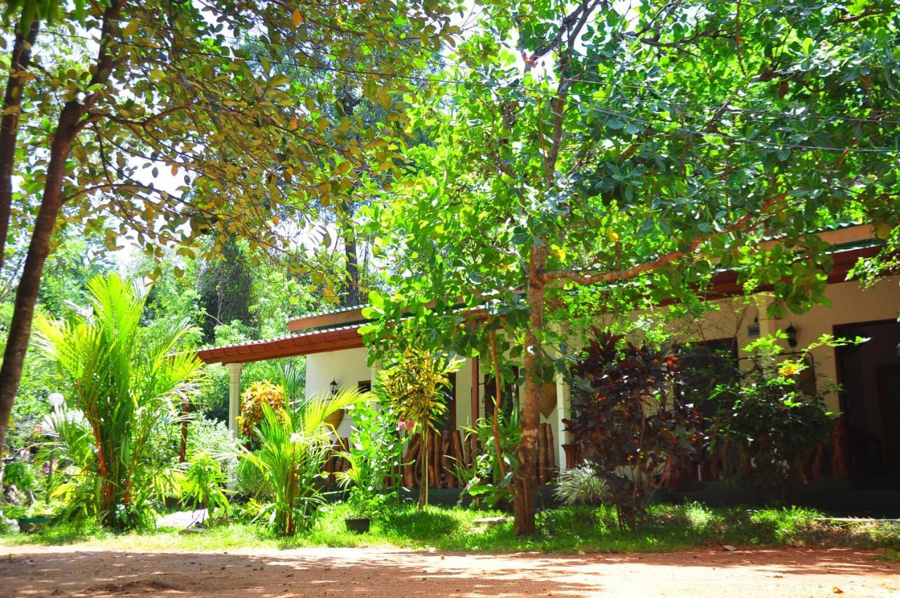 Sigiri Rock Side Home Stay Sigiriya Exterior photo